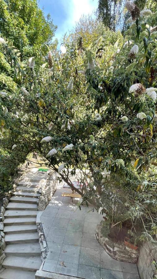 Apartament Au Jardin De La Basilique Boulogne-sur-Mer Zewnętrze zdjęcie