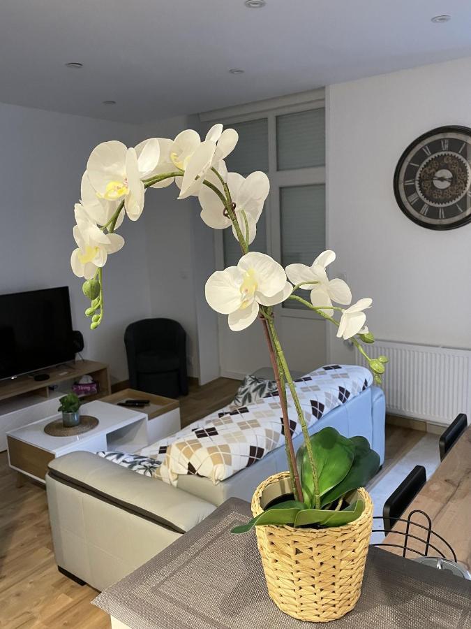 Apartament Au Jardin De La Basilique Boulogne-sur-Mer Zewnętrze zdjęcie