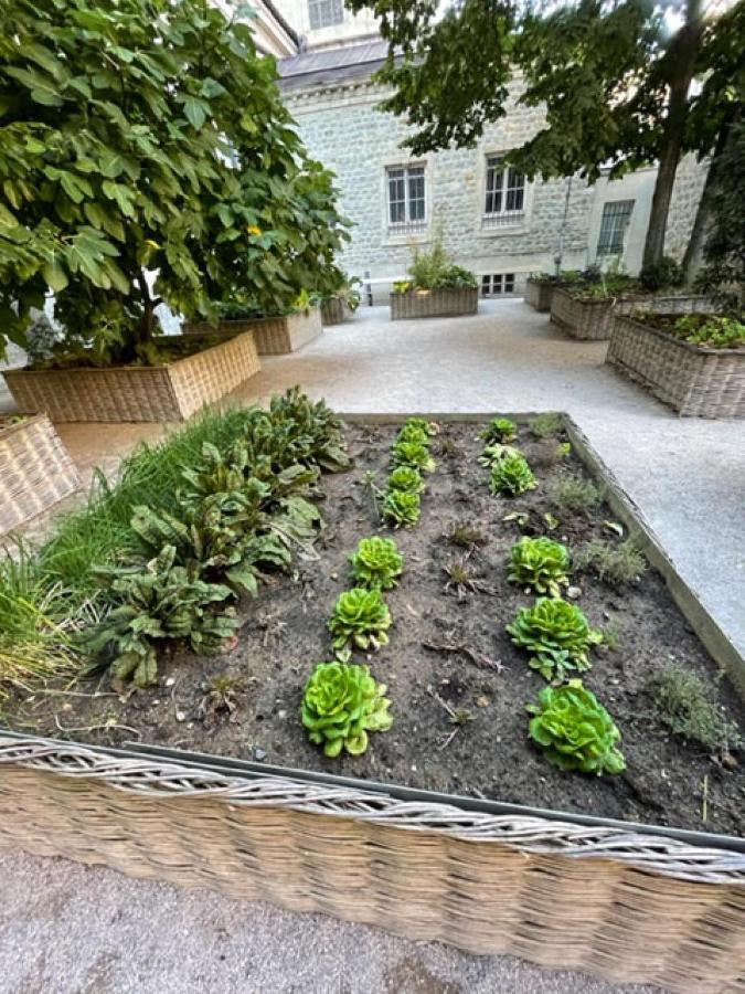 Apartament Au Jardin De La Basilique Boulogne-sur-Mer Zewnętrze zdjęcie